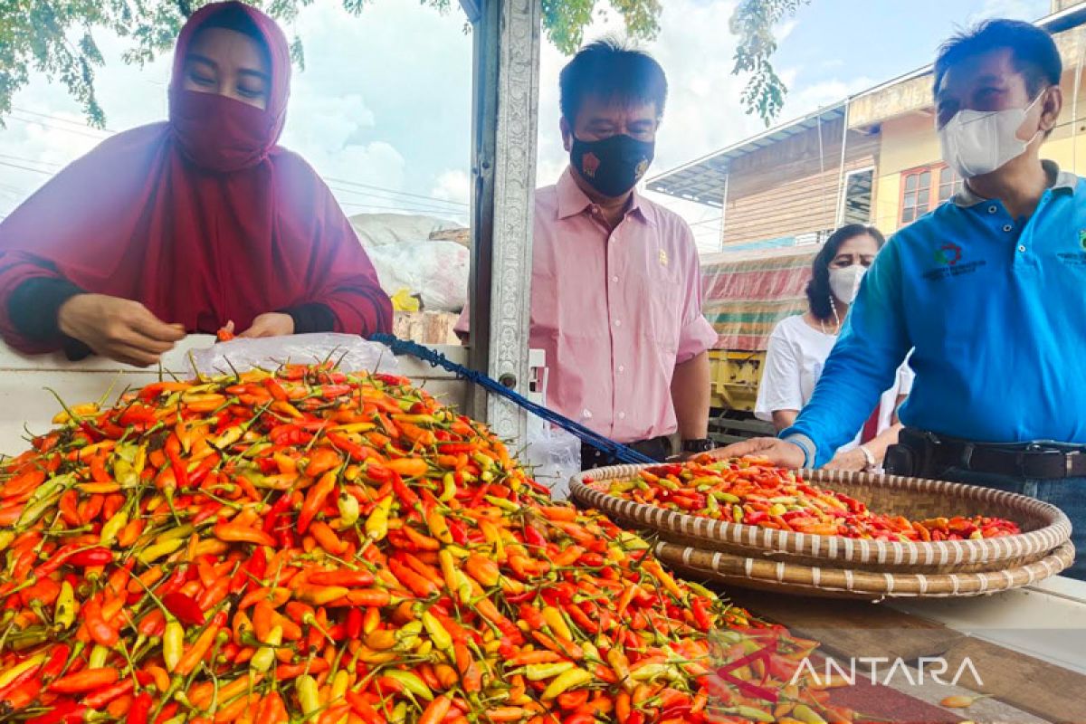 Harga bawang-cabai di Palangka Raya alami penurunan jelang Ramadhan