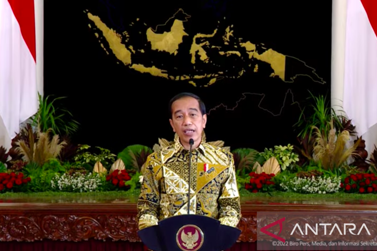 Presiden Jokowi targetkan 20 juta UMKM masuk toko daring
