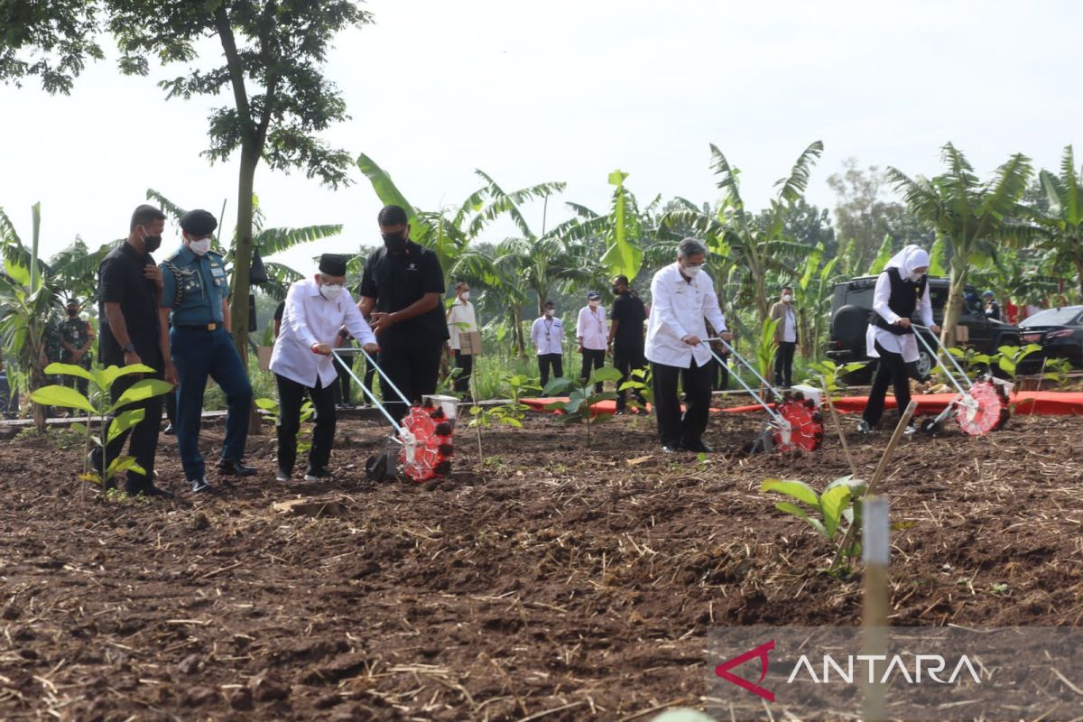 Bupati Purwakarta minta pemerintah pusat izinkan garap lahan tidur Perhutani