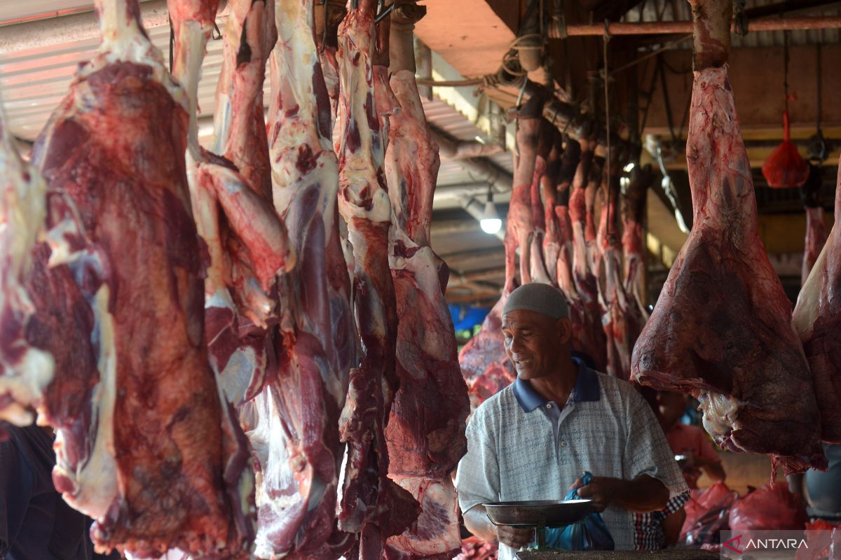 Ini harga daging di Banda Aceh jelang meugang Ramadhan