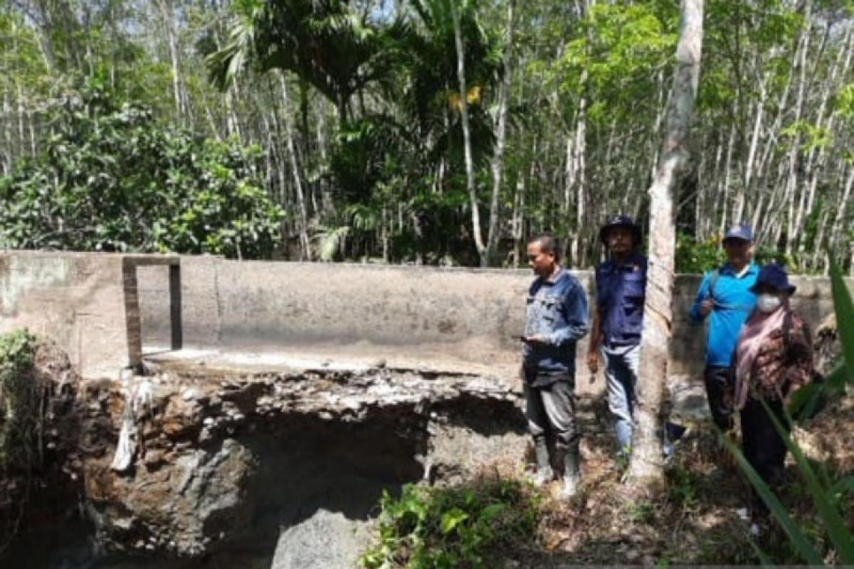 Miris! Musim tanam petani Batang Angkola ditunda hingga Juni gegara irigasi jebol