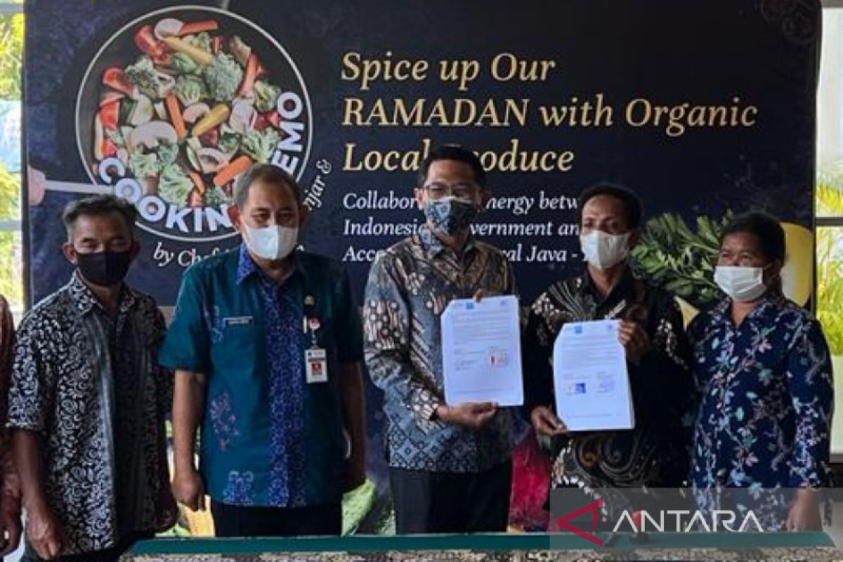 Petani Merbabu pasok 111 jenis sayuran organik di perhotelan