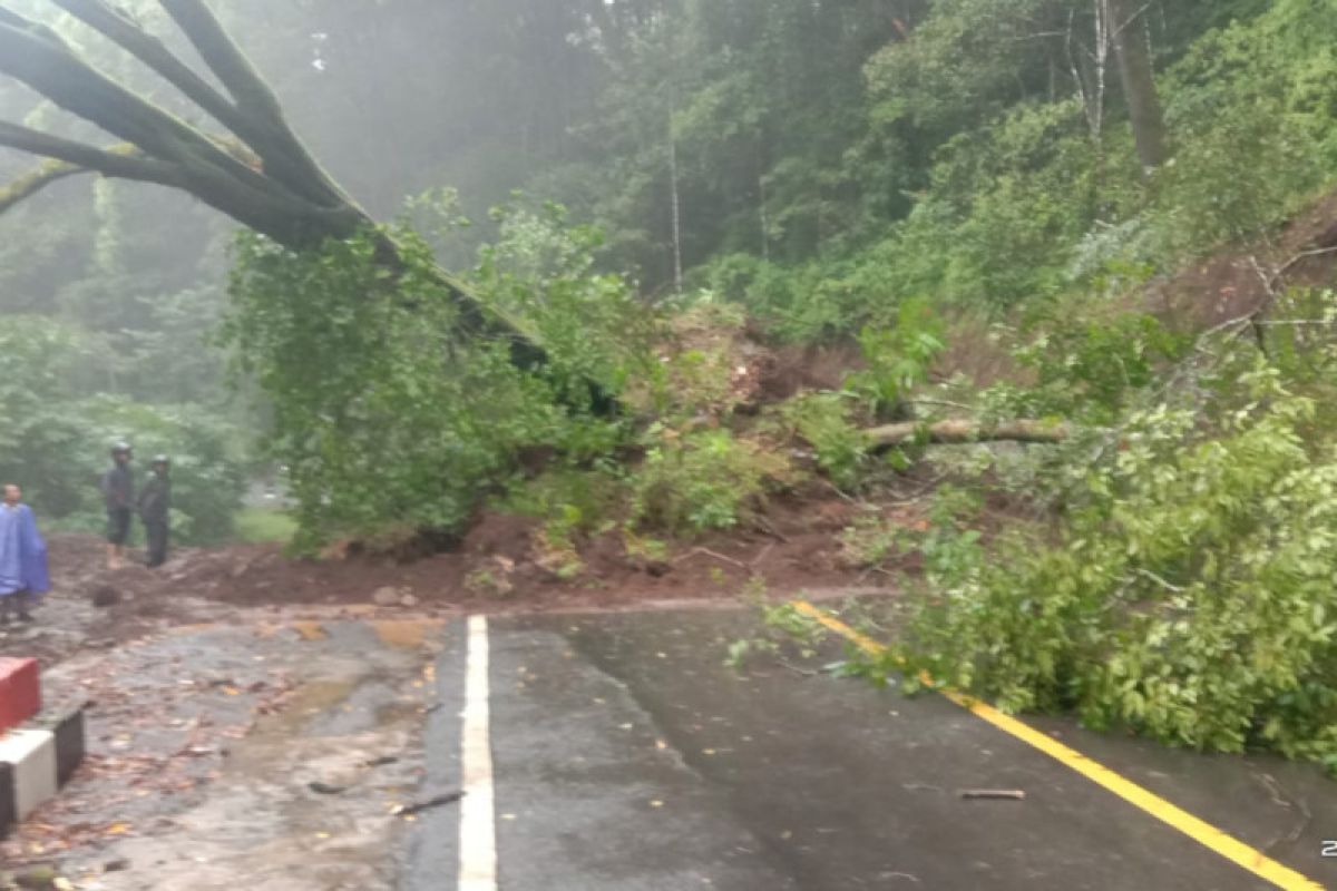 Jalur wisata Pusuk Sembalun kembali longsor dan pohon tumbang