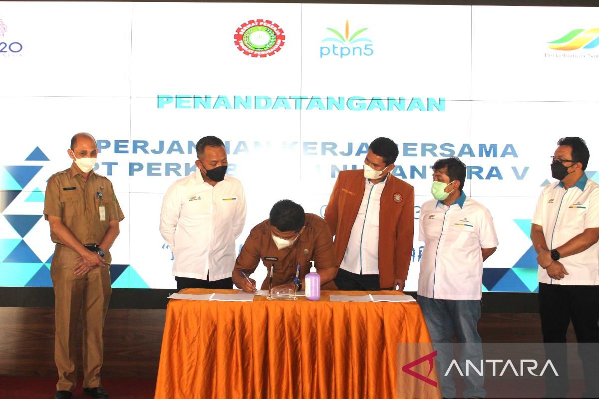 Pemprov Riau apresiasi hubungan Serikat Pekerja dan Manajemen PTPN V