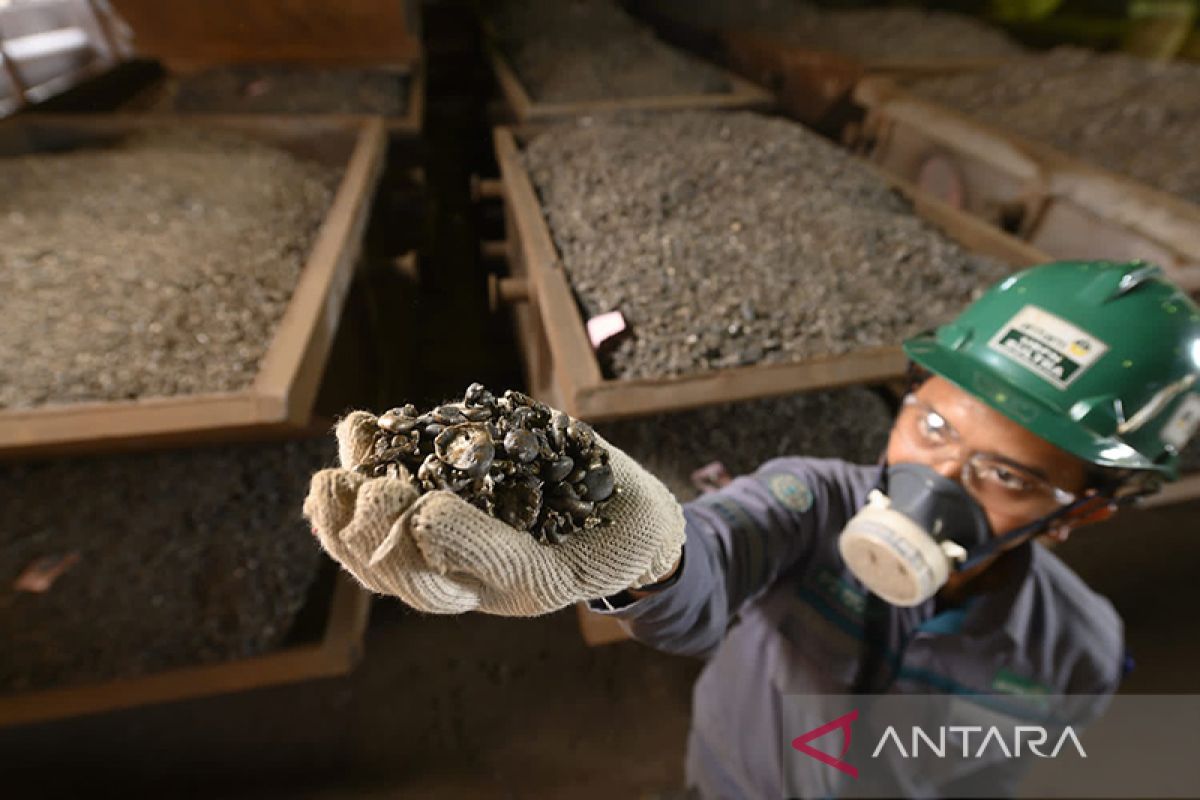 Antam to pay 50% of profit as dividend