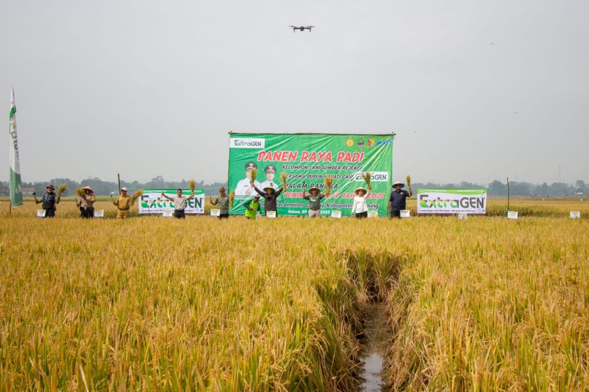 Kementan Dorong Petani Tingkatkan Penggunaan Pupuk Organik - ANTARA News