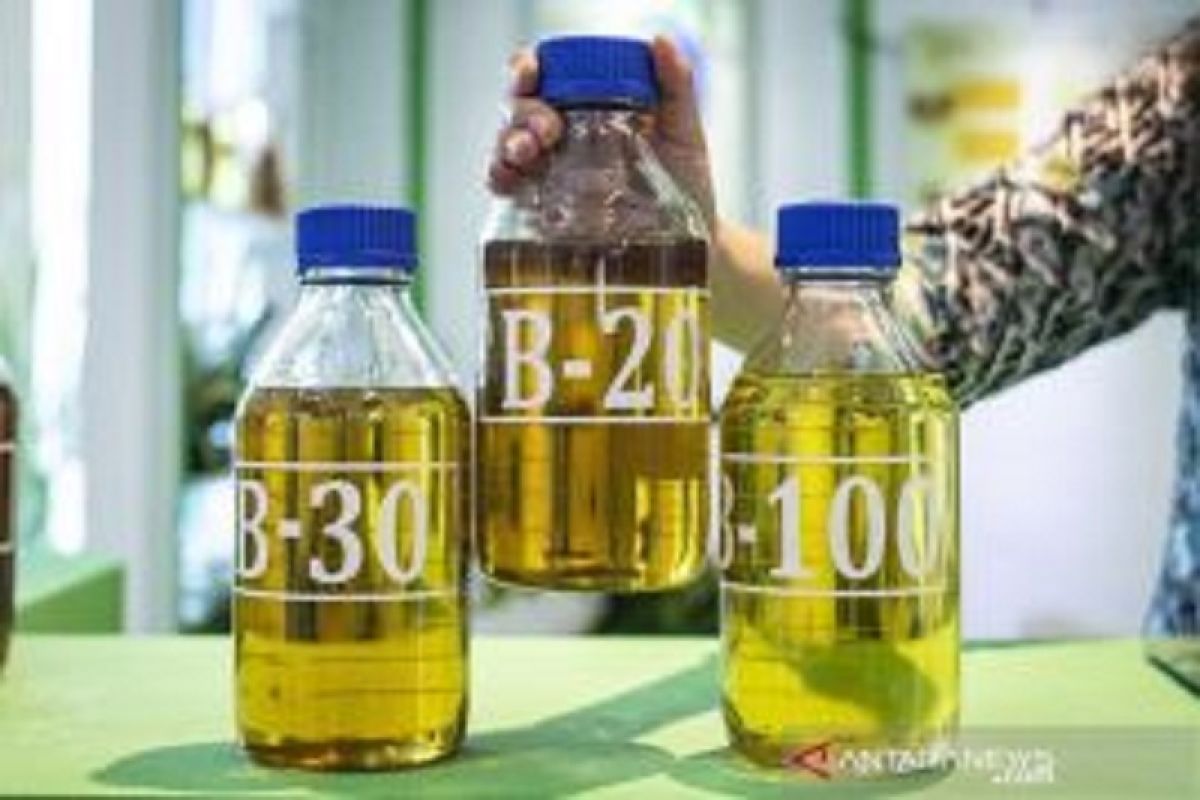 Pemerintah patok harga biodiesel Rp15.559 per liter berlaku efektif 1 April 2022