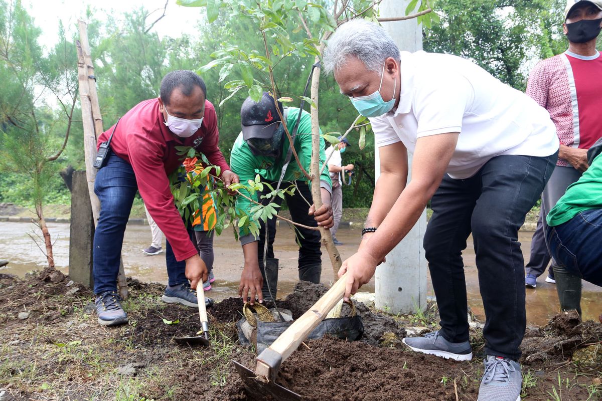 DSDABM jaga persediaan air di Kota Surabaya dengan penanaman pohon