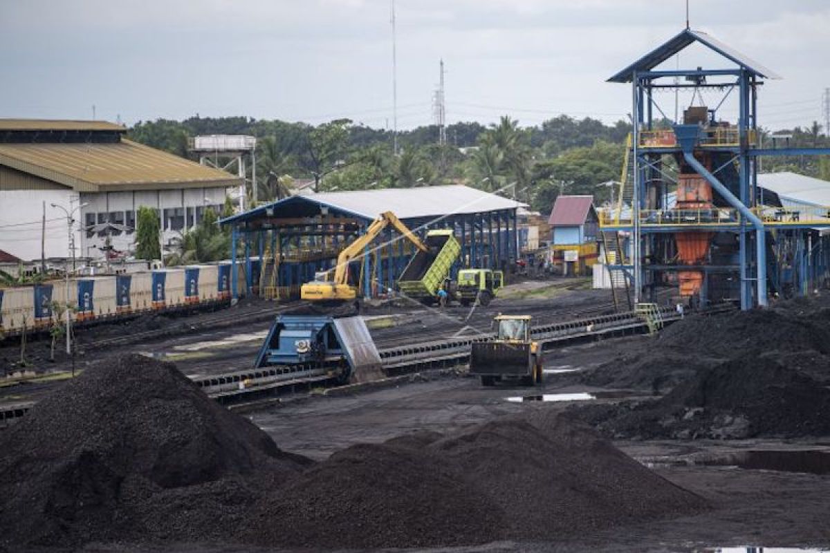 Asosiasi dukung pemerintah bentuk entitas khusus batu bara