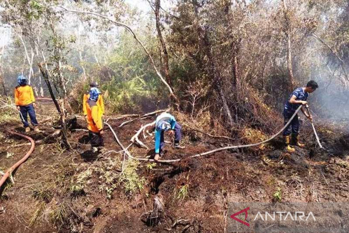 KLHK pantau titik panas cegah kebakaran hutan jelang kemarau