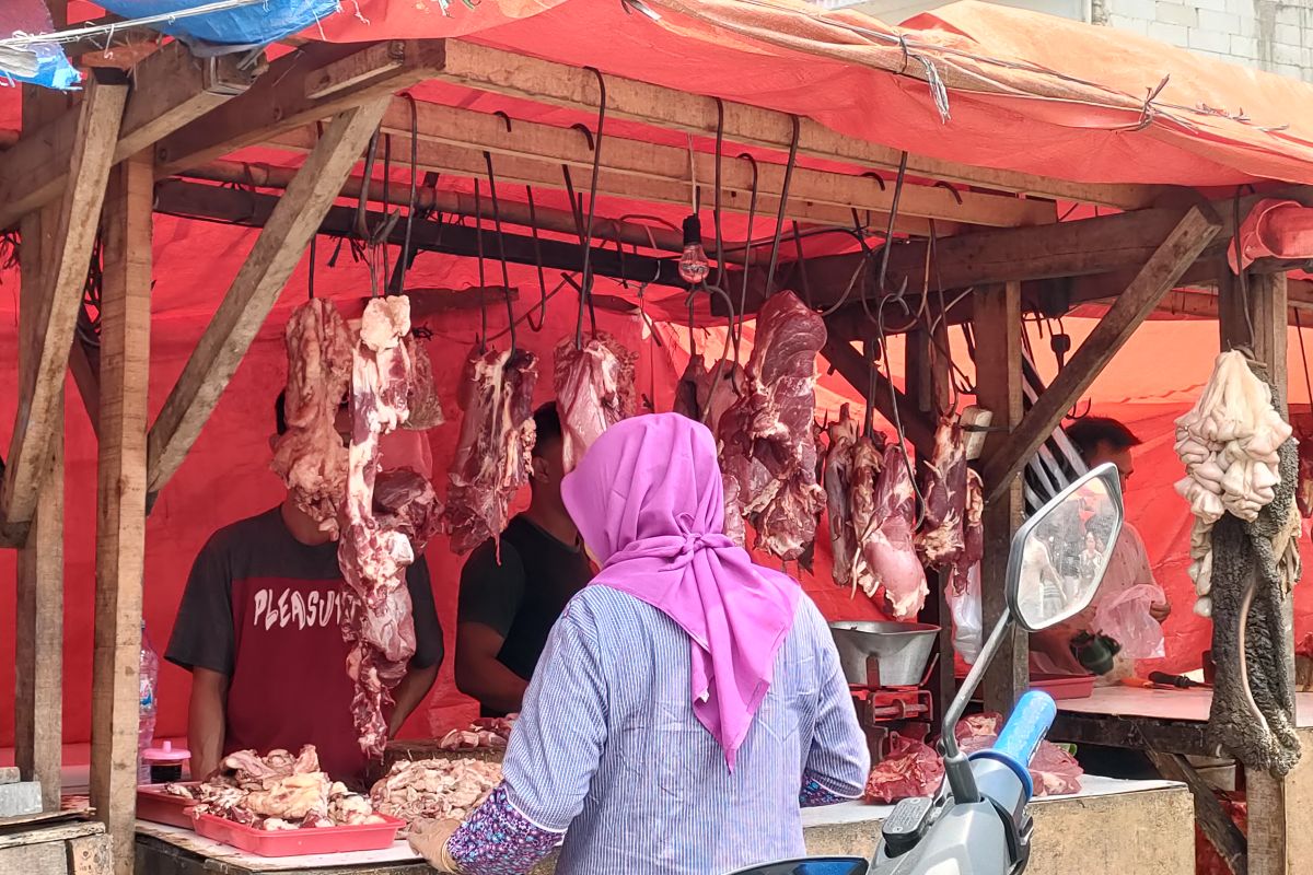Pemkot Bogor pantau harga daging sapi jelang Ramadhan