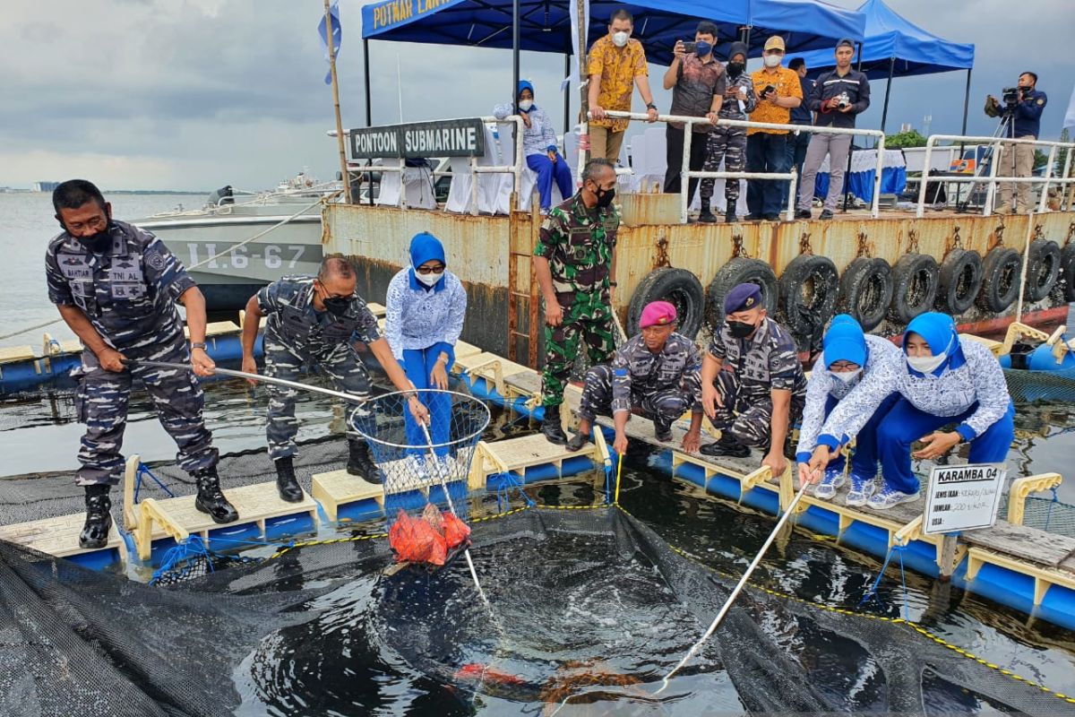 Lantamal VI Makassar lakukan panen raya ikan laut dan sebar benih