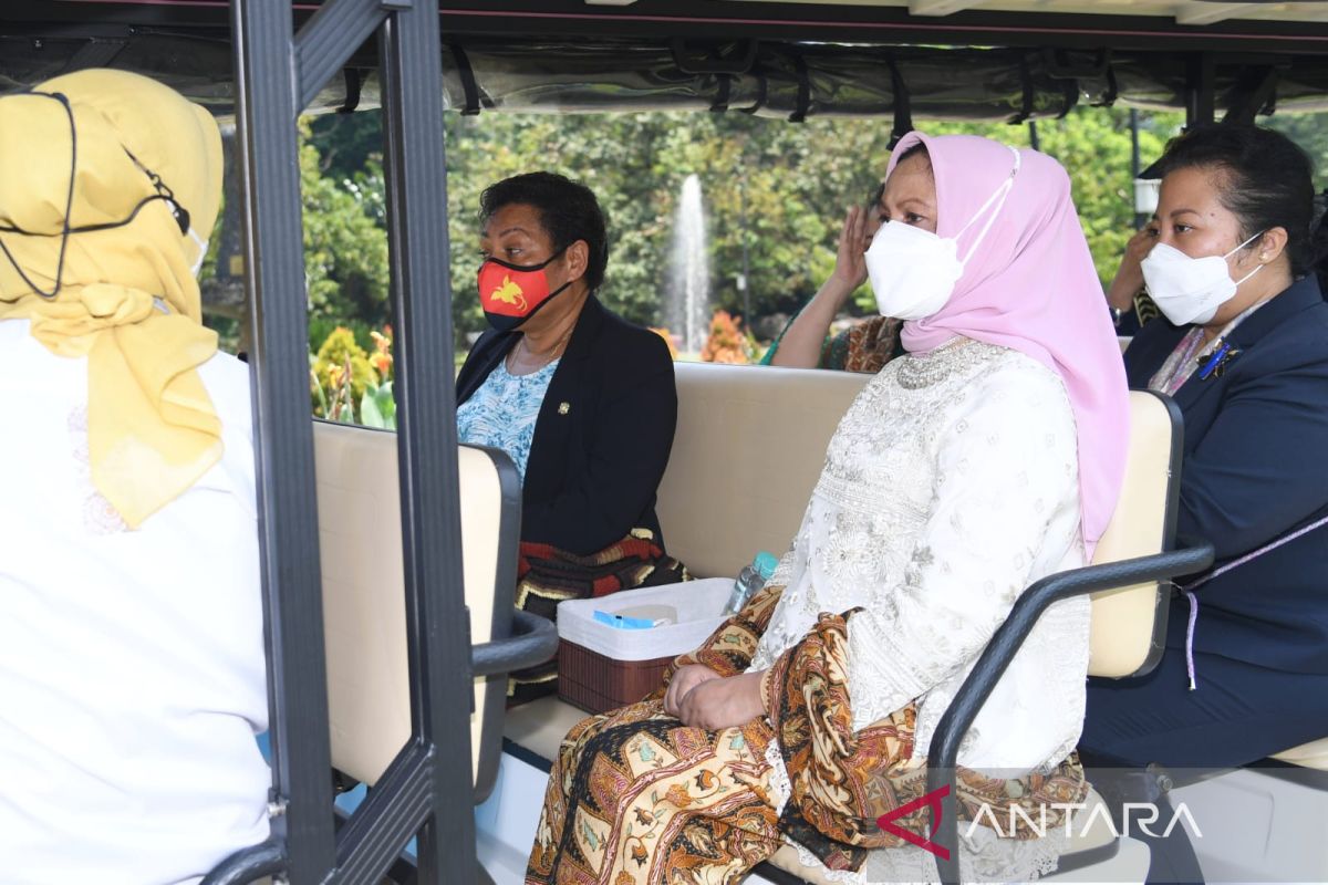 Iriana ajak istri PM Papua Nugini berkeliling Kebun Raya Bogor
