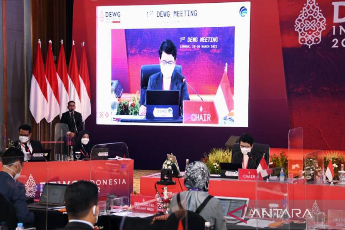 G20 Indonesia  --  DEWG delegates concur on importance of data governance