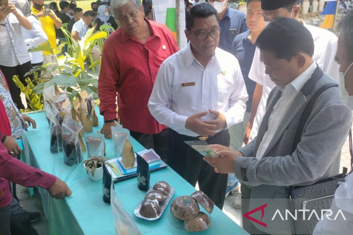 Kementan komitmen bantu petani kopi Rejang Lebong