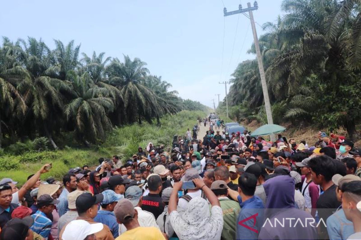 Menderita 20 tahun lebih, masyarakat Sikabau minta PT Bakrie Pasaman Plantation serahkan lahan plasma 300 hektare