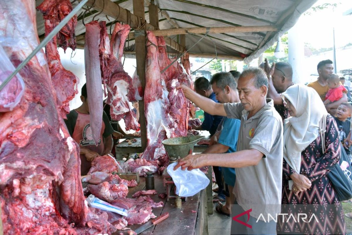 73 ekor sapi disembelih saat meugang di Sabang