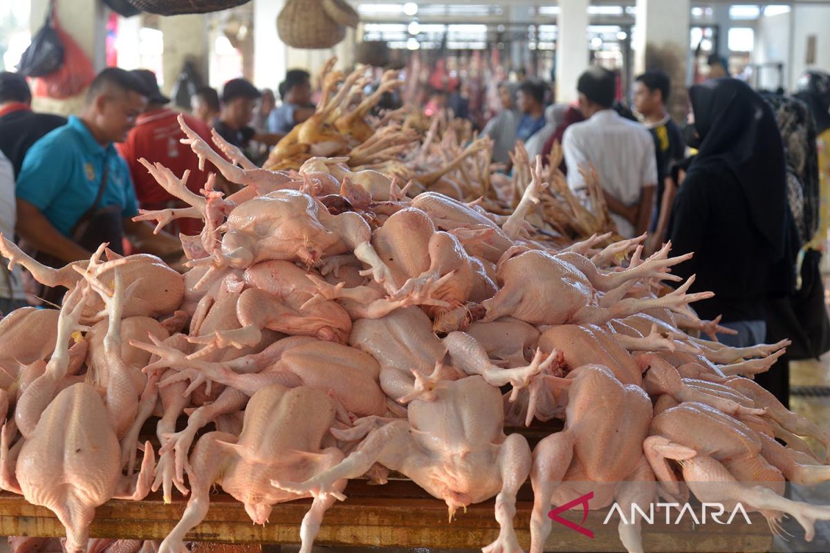 Kenaikan harga daging jelang Ramadhan