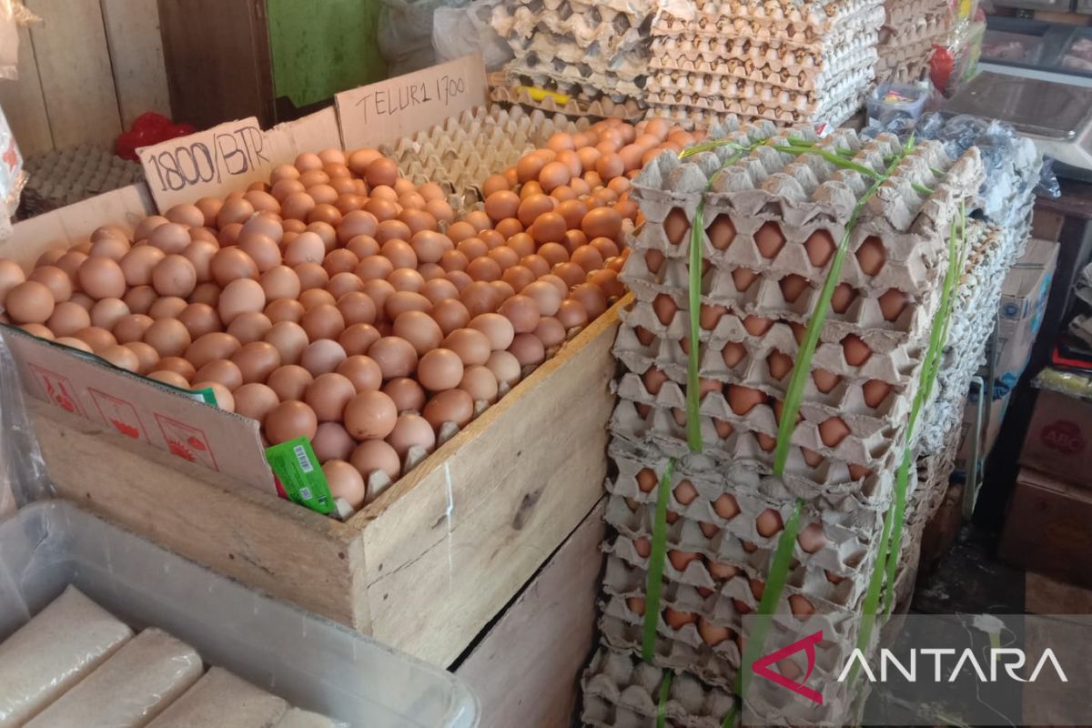 Harga telur ayam di Ambon naik jelang Ramadhan