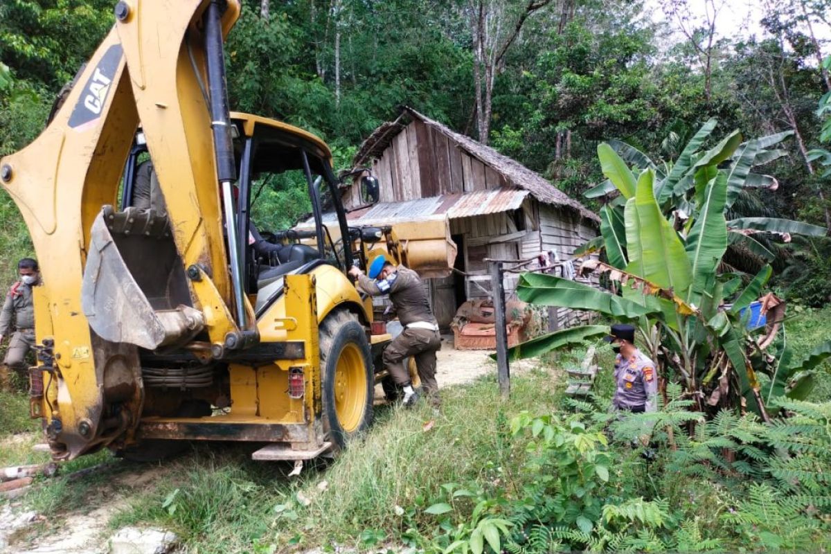Tim gabungan bongkar bangunan liar di hutan lindung Bukit Betabuh
