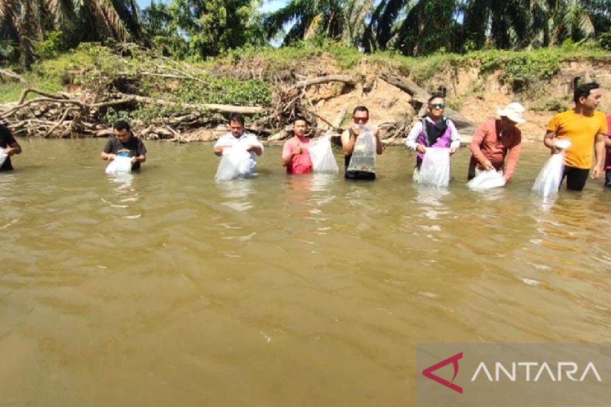 Pemuda Pagau Nagoghi Kasikan tabur 10 ribu benih ikan