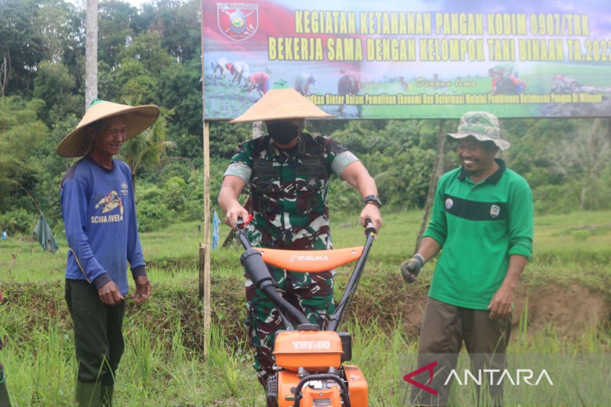 Kodim Tarakan dampingi kelompok tani wujudkan ketahanan pangan