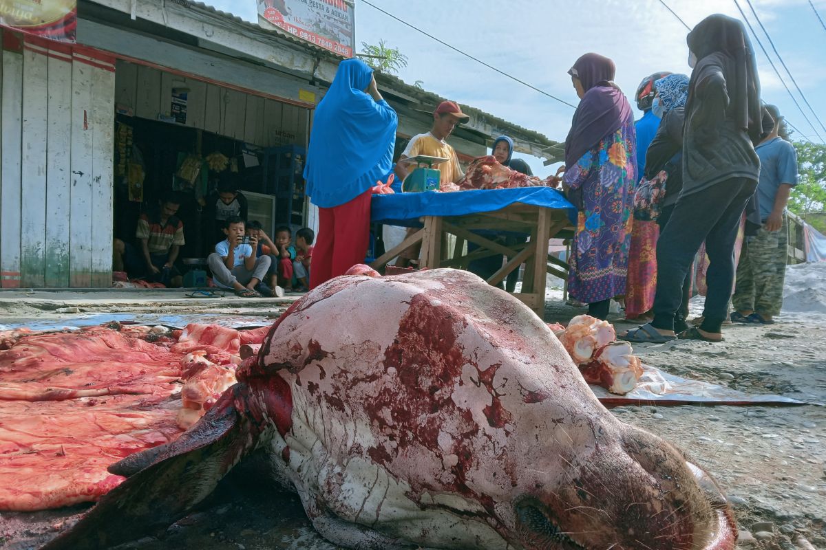 Daging sapi di Pekanbaru  Rp150.000 per kg