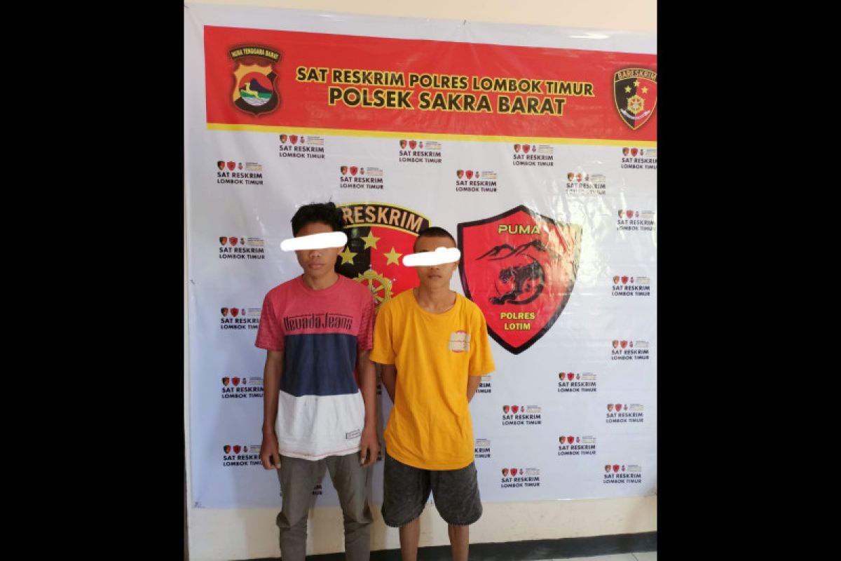 Gara-gara maling tiga telur ayam, dua remaja di Lombok Timur ditangkap polisi