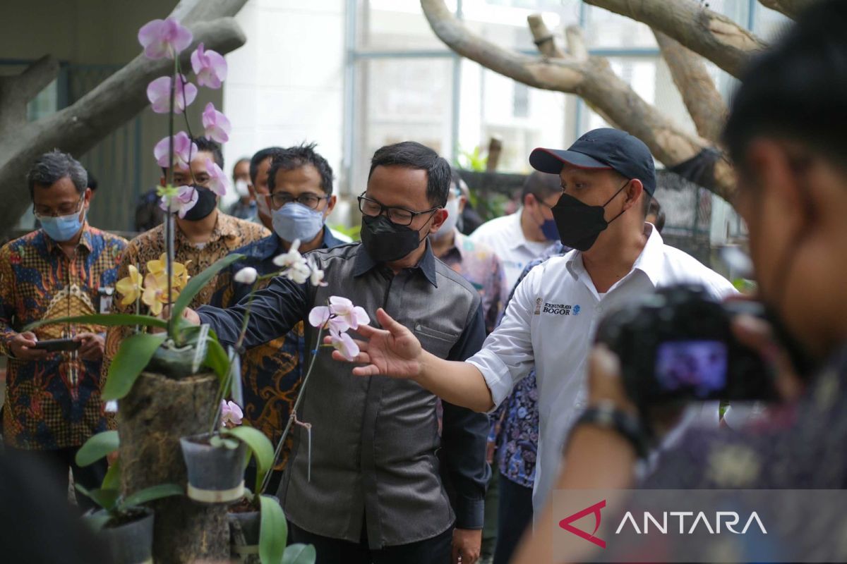 Bima Arya berharap konservasi Anggrek Kebun Raya Bogor gandeng petani lokal