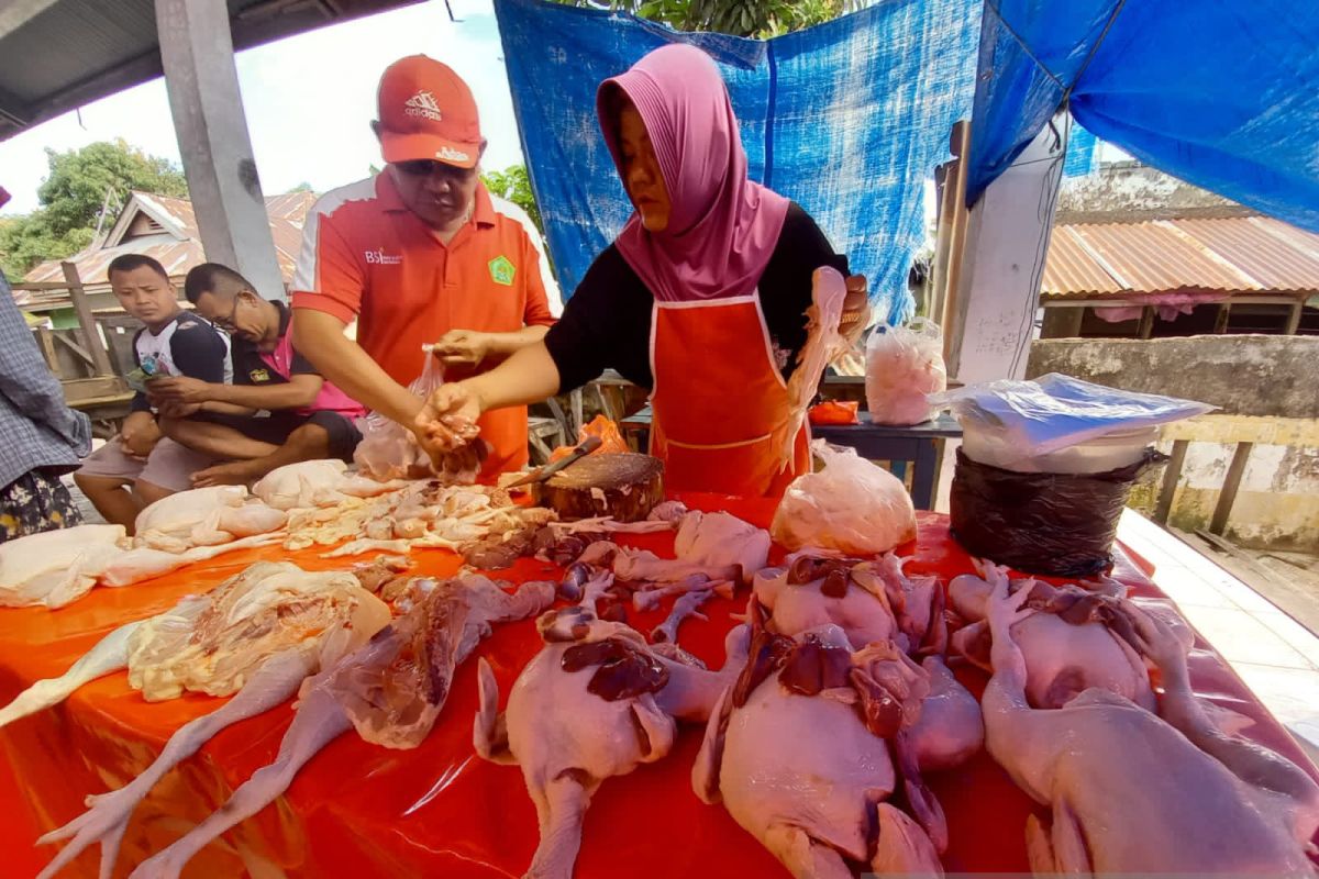 Harga ayam potong di Gorontalo Utara naik