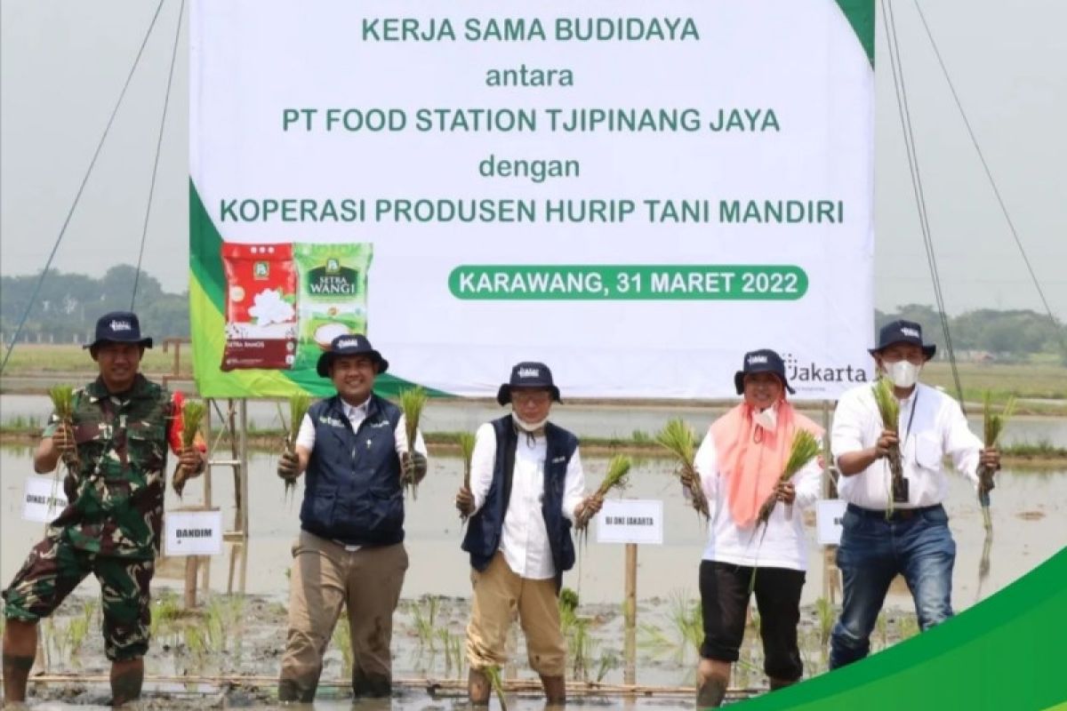 Untuk pasokan beras Jakarta, Food Station gandeng petani Karawang