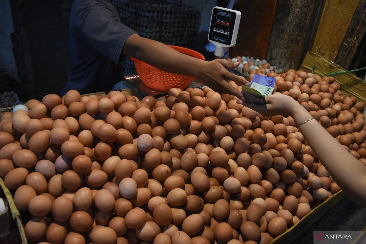 Selama Ramadhan, stok telur ayam di Kalbar aman