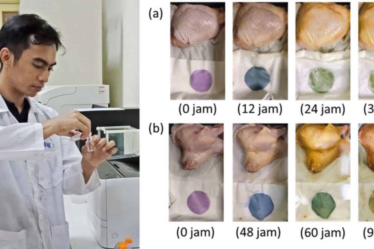 Itera manfaatkan limbah batang sawit jadi pendeteksi kesegaran makanan
