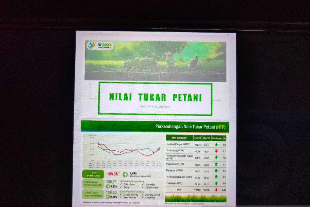 Nilai tukar petani di Provinsi Papua Barat mengalami penurunan