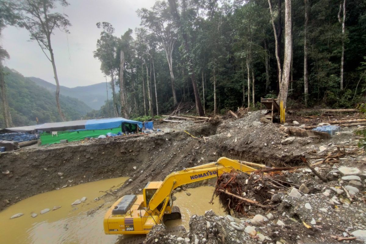 Diduga tambang ilegal berpotensi merusak hutan di Manokwari pemerintah diam