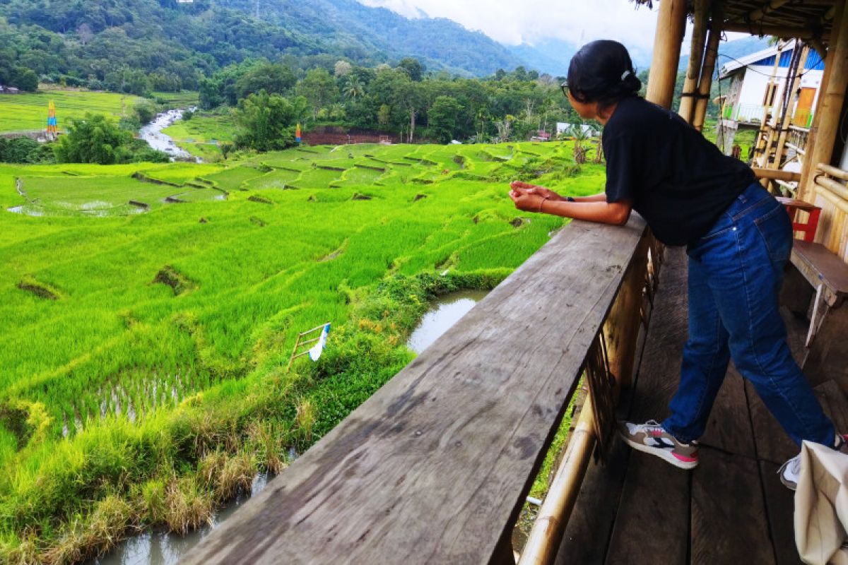 Artikel - Melirik potensi wisata desa penyangga TN Kelimutu Detusoko Barat Ende