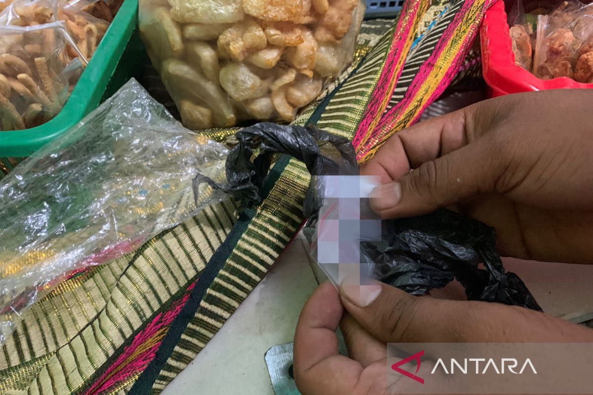 Polisi ringkus dua tersangka narkoba dan rencana curanmor