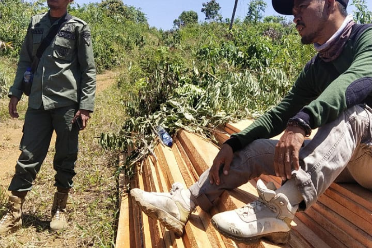 KPHP Mukomuko temukan kayu ilegal di hutan negara