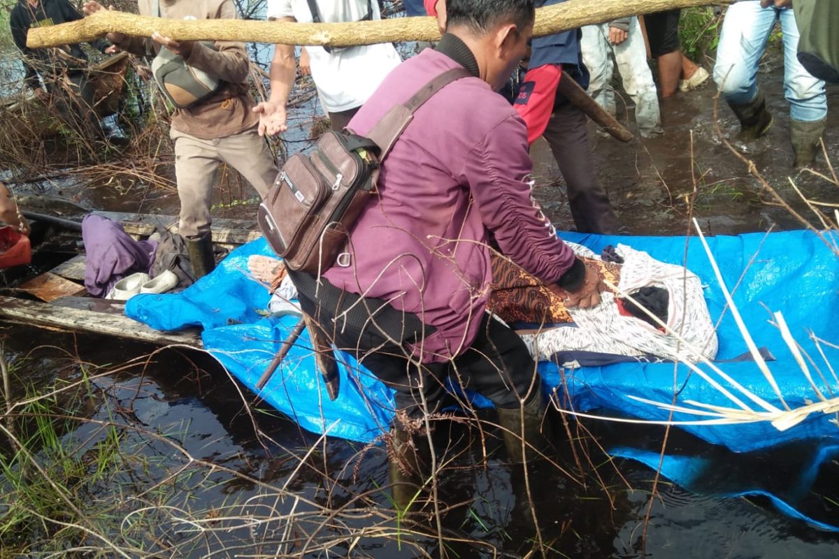 Hasil penelusuran BBKSDA Riau, Indra diserang dua harimau hingga tewas