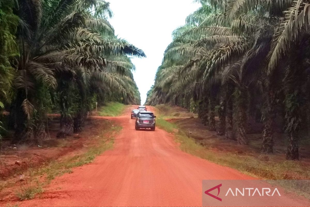 Legislator ajak petani di Kotim maksimalkan pemanfaatan pupuk alami