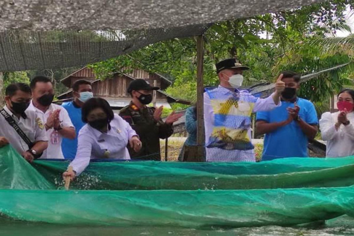 Panen perdana, Bupati sebut awal pengembangan perikanan di Gumas