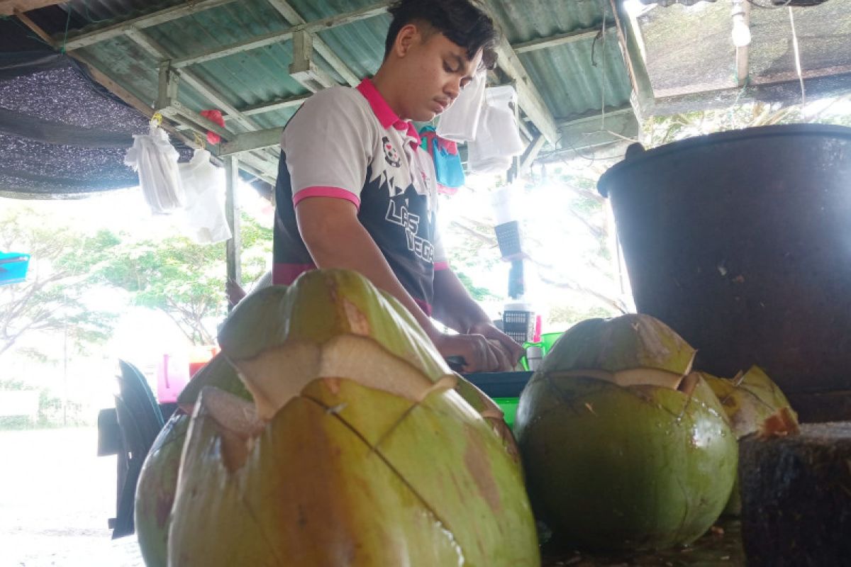 Daya beli kelapa muda meningkat di Lhokseumawe