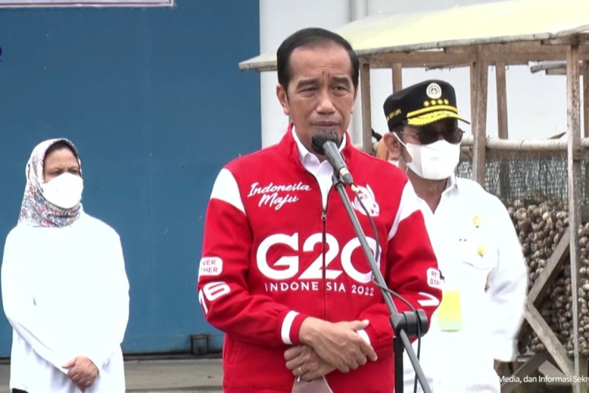 Presiden Jokowi harap pinang jadi komoditas unggulan ekspor Indonesia