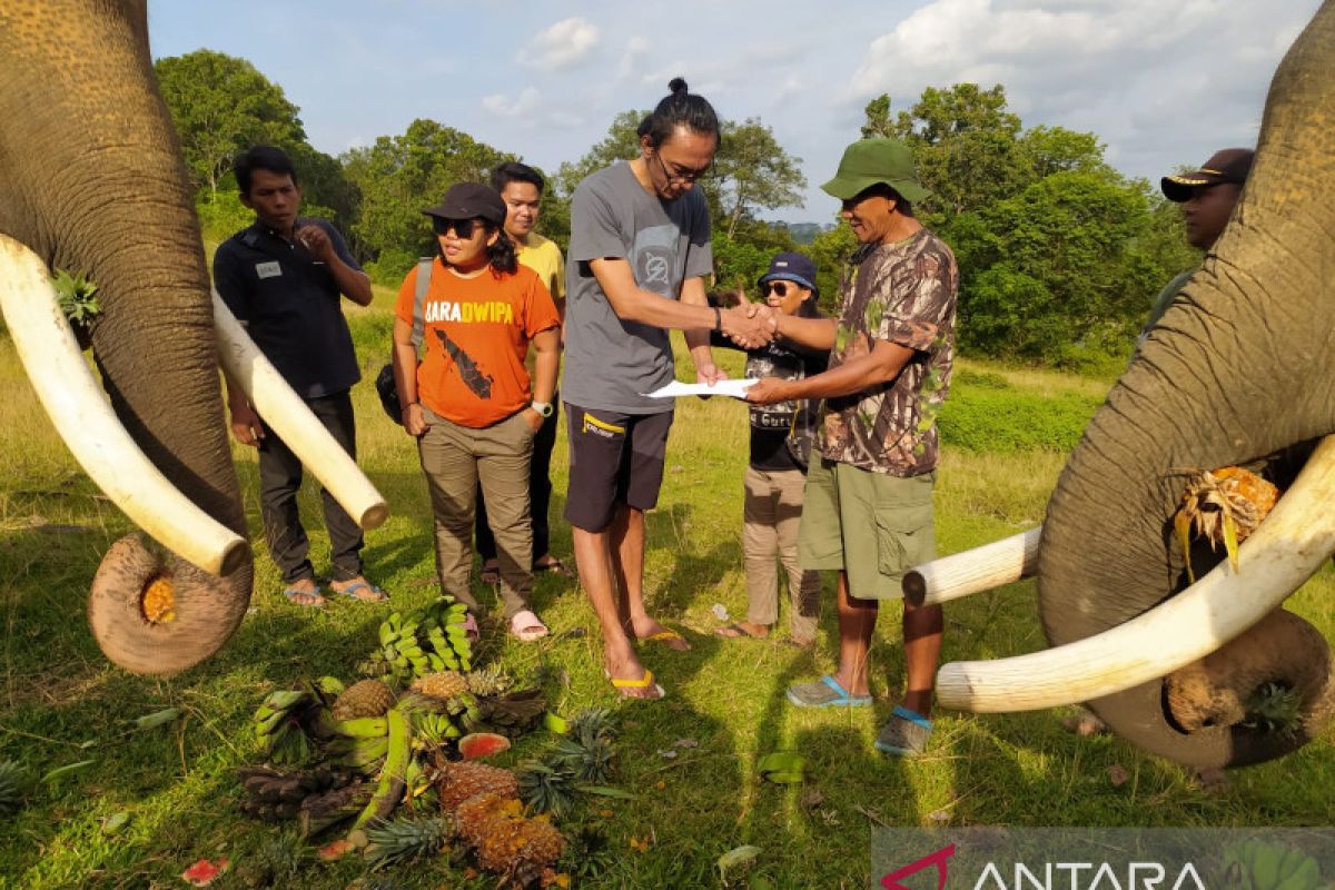 FKGI salurkan pakan tambahan bagi gajah Sumatera