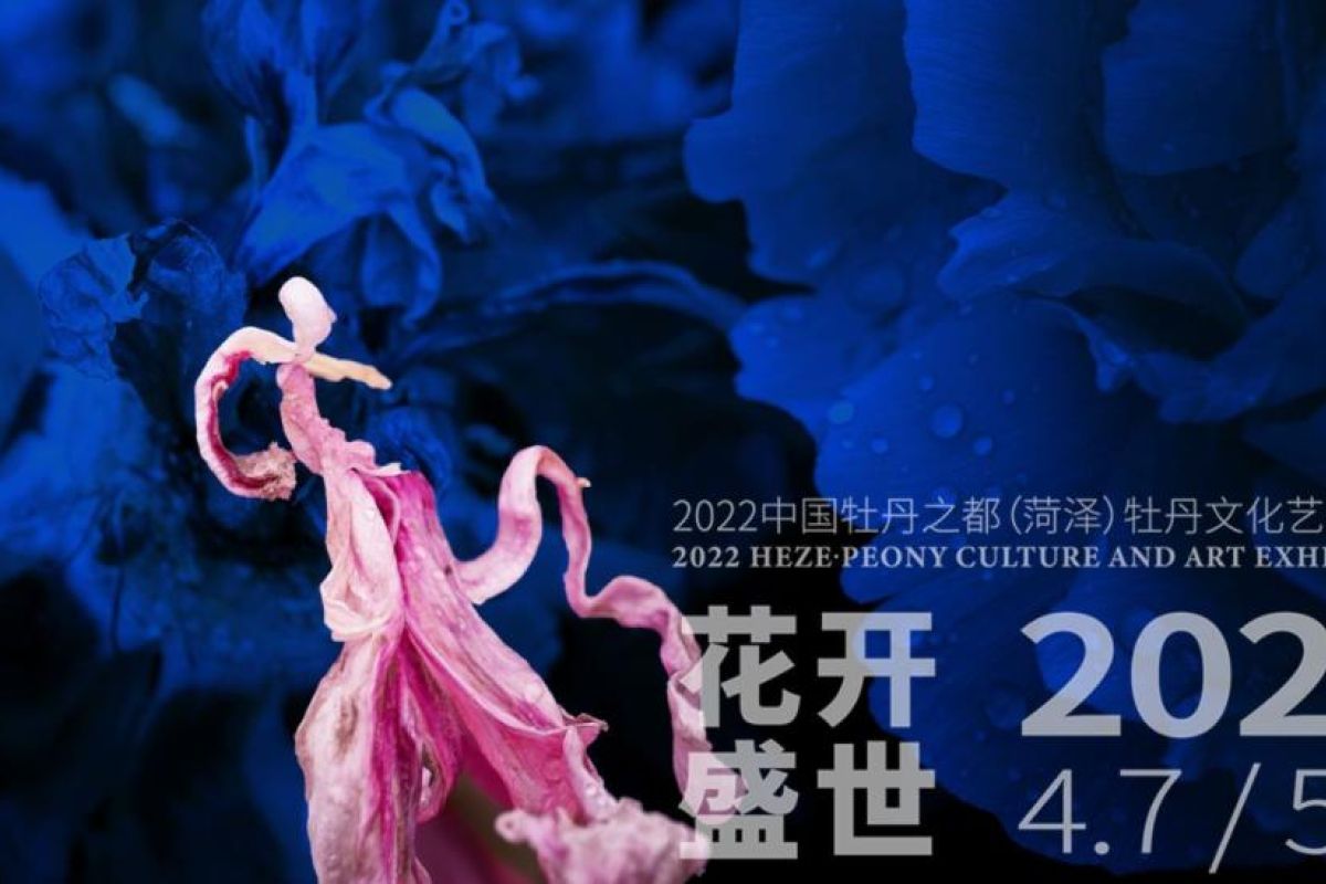 2022 The Heze Peony Culture and Art Exhibition kicks off - - Let the Peony Always Bloom