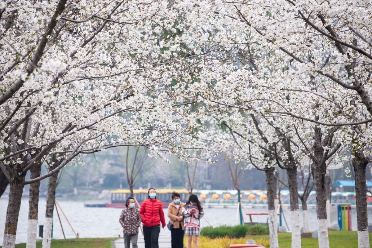 Pendapatan pariwisata China akan capai 269 miliar dolar AS paruh pertama 2022