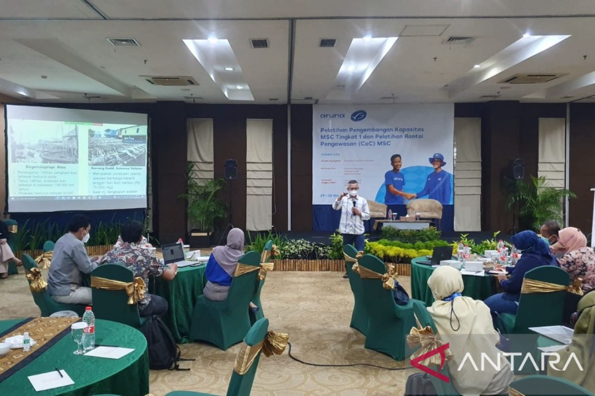 MSC berikan pelatihan perikanan berkelanjutan kepada mitra