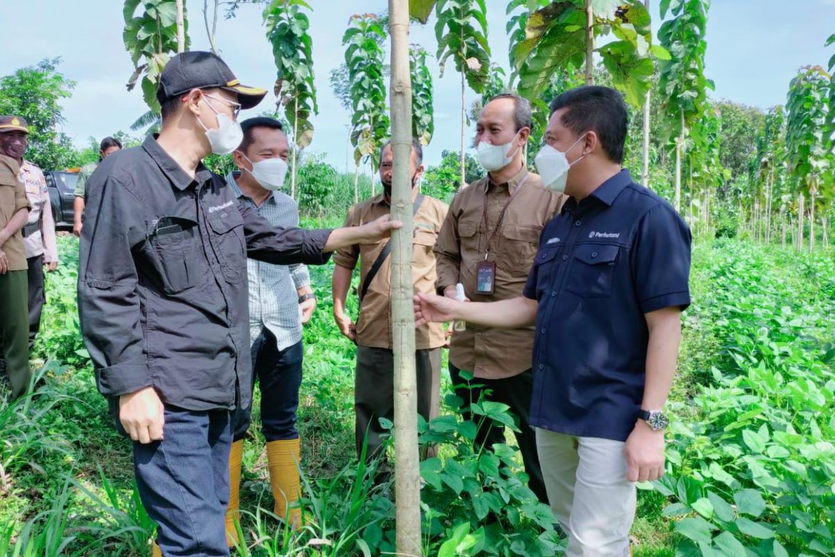 Perhutani siap berkontribusi aktif wujudkan dekarbonisasi di Indonesia