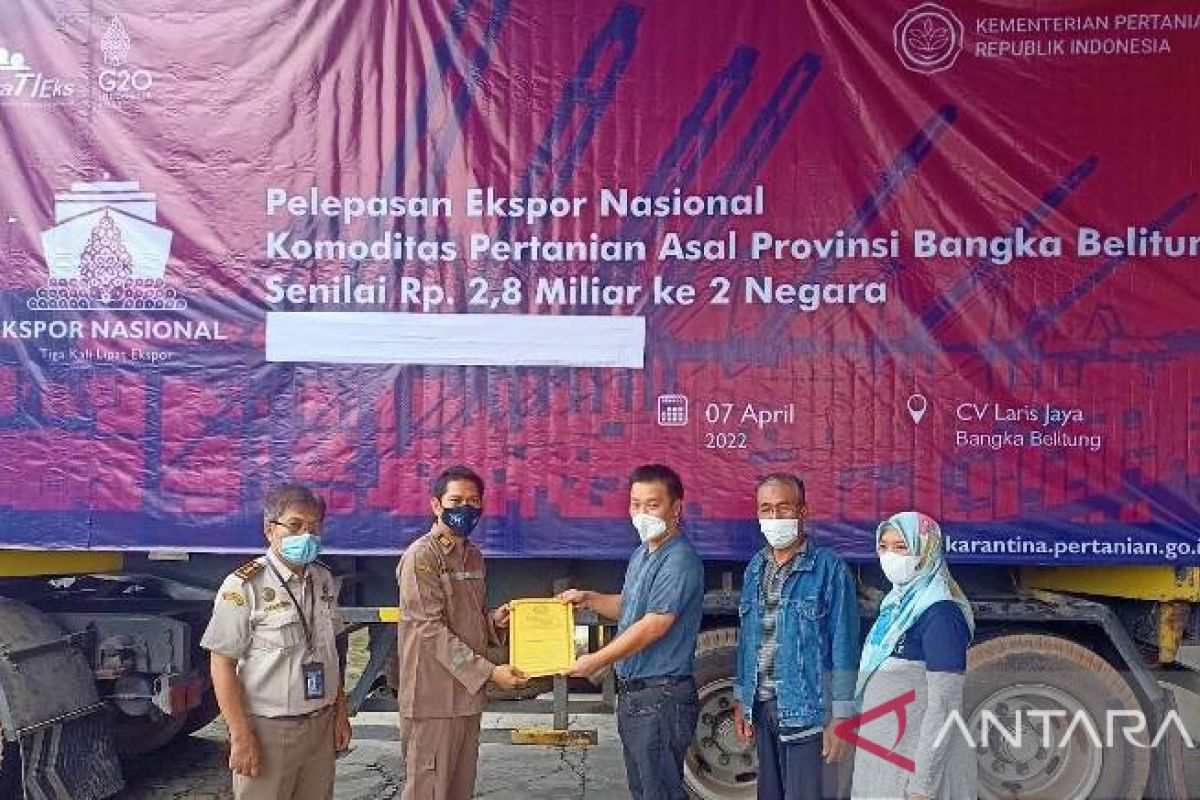 BKP Kota Pangkalpinang lepas ekspor lada putih 35 ton