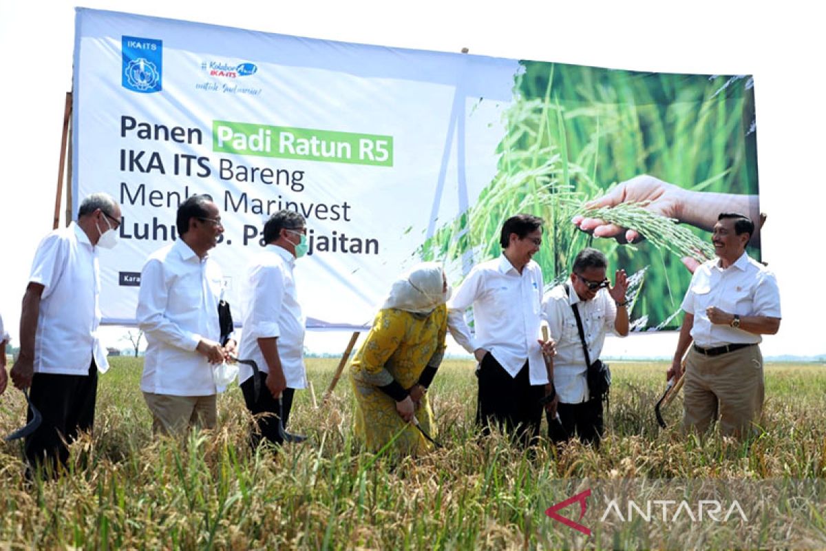 Luhut dorong inovasi teknologi untuk ketahanan pangan